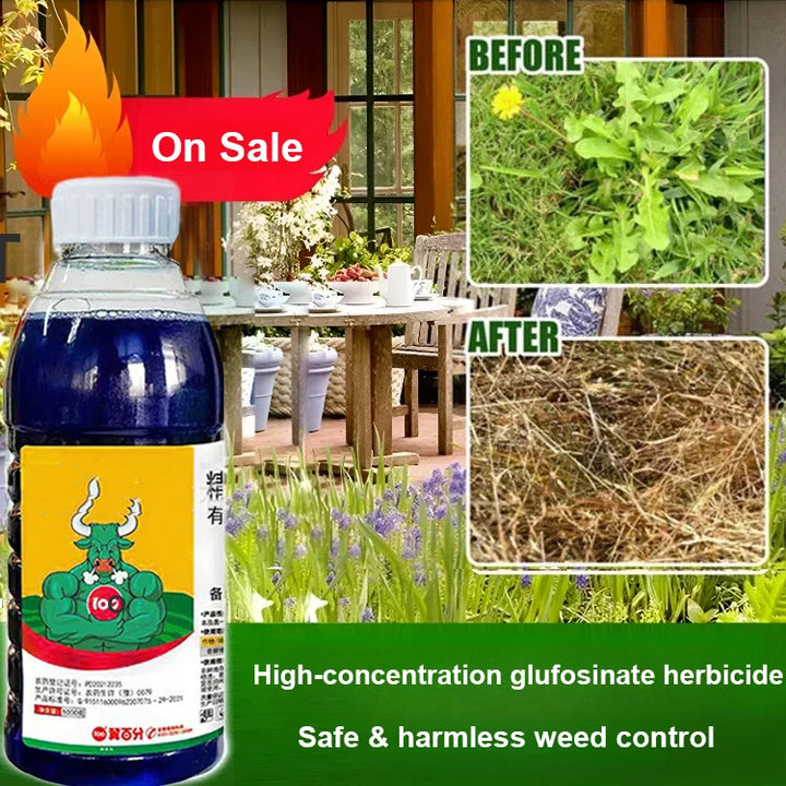 High Concentration Glufosinate Herbicide For all type grass 🔥 (Buy 1 Get 1 Free)