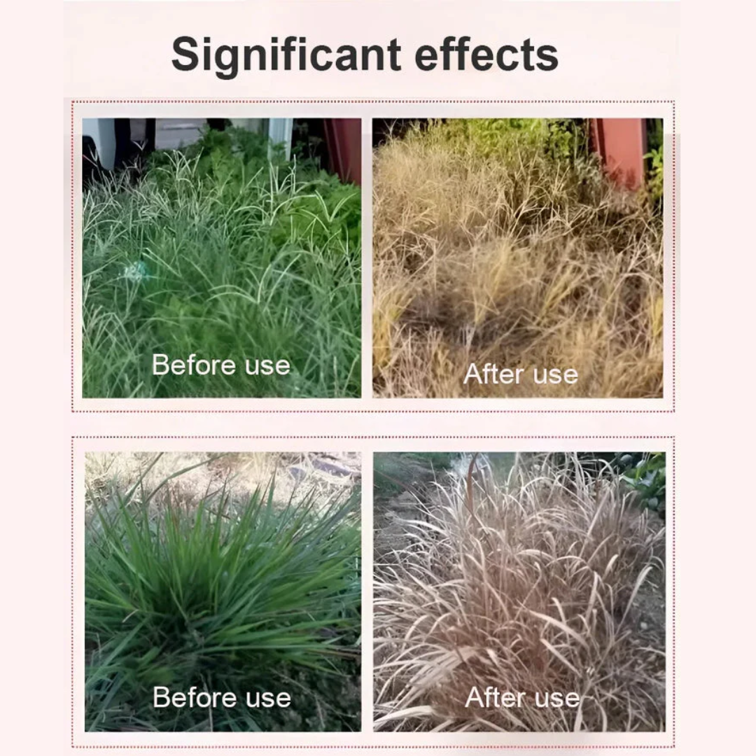High Concentration Glufosinate Herbicide For all type grass 🔥 (Buy 1 Get 1 Free)