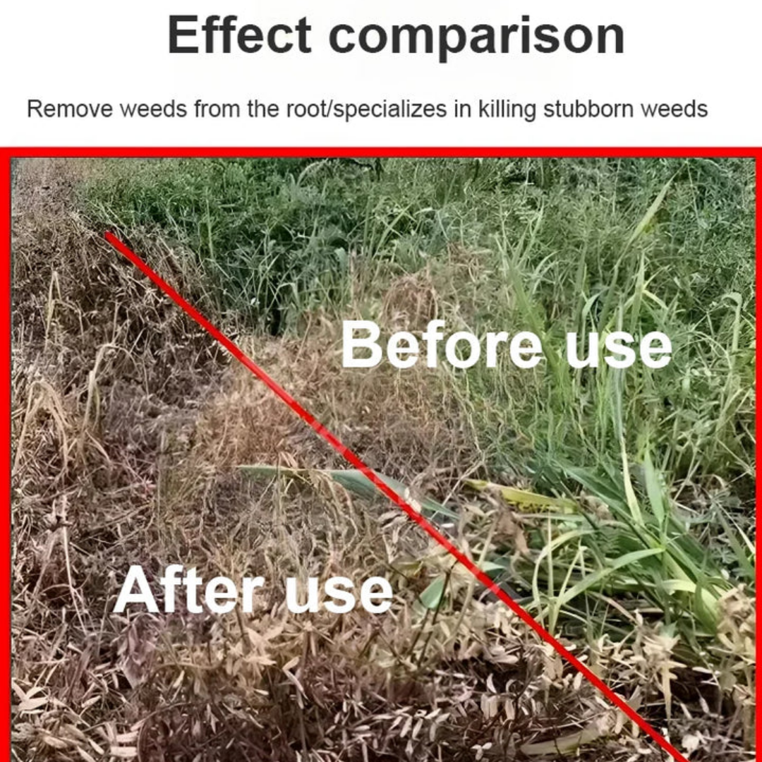 High Concentration Glufosinate Herbicide For all type grass 🔥 (Buy 1 Get 1 Free)