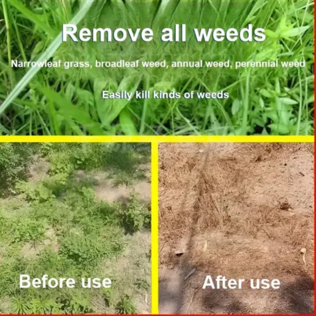 High Concentration Glufosinate Herbicide For all type grass 🔥 (Buy 1 Get 1 Free)